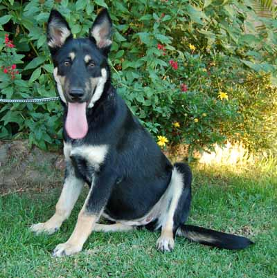 Nika von Brink sitting